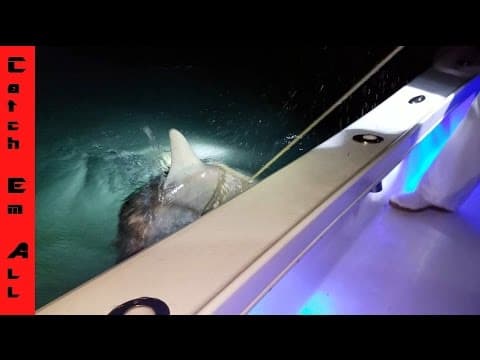 Shark Fishing South Florida in terrible conditions!