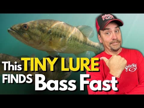 The Lure that FINDS Pressured Bass Fast and Why