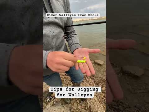 How to jig for river walleyes from shore