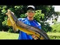 Where to catch snakeheads 101