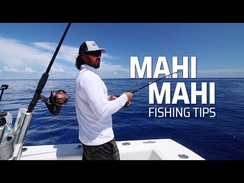 How To Find Dolphin, Mahi, Dorado on Weedlines - ReelReports