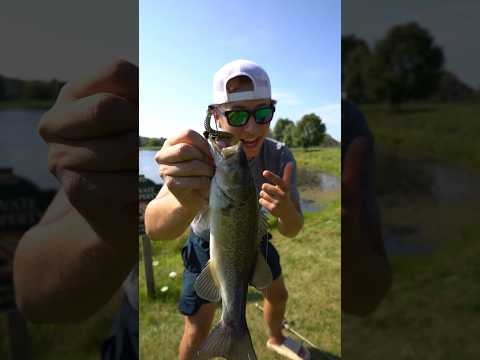 BEST FISHING LURE for Summer Bass 🎣