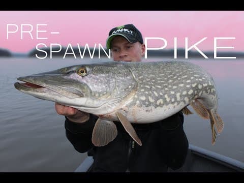 Pre-Spawn Pike - Big pike during spring fishing