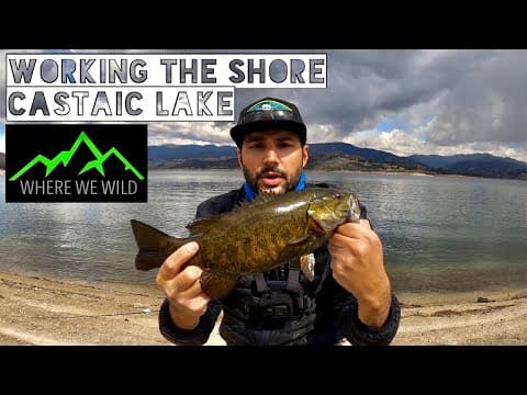 WORKING THE SHORE - Castaic Lake Fishing