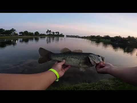 Myrtle Beach Pond Bass Fishing