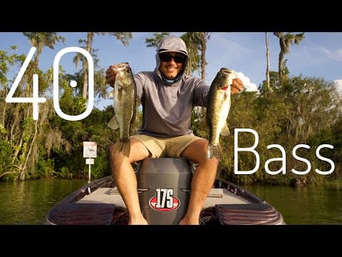 Butler Chain Bass Fishing