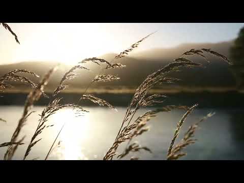 Top Ten Maine Fishing Destinations