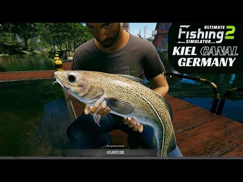 Sea Trout, Atlantic Cod, European Bass, Zander, Kiel Canal in Germany, Ultimate Fishing Simulator 2