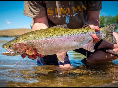 This river had MASSIVE fish. (Broke my PB)