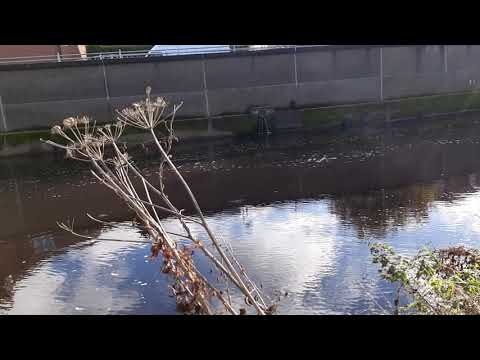 magnet fishing in Morpeth