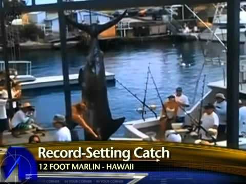 Woman catches 1,000 pound fish