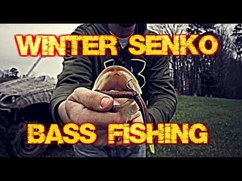 Senko Winter Bass Pond Fishing