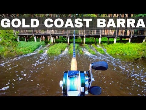 Gold Coast Barra Tactics - Barramundi fishing tips and best lures