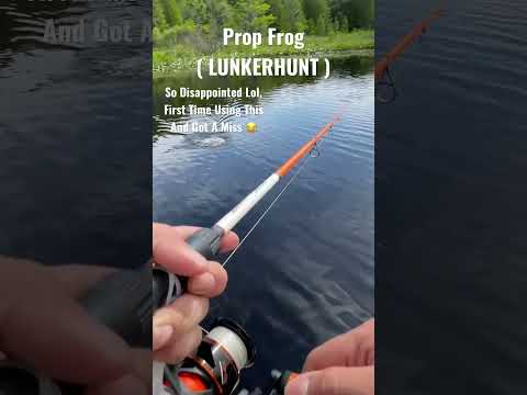 Prop Frog #lunkerhunt #bass #bassfishing #propfrog #bassboat #blowup #dissapointed #country #lake