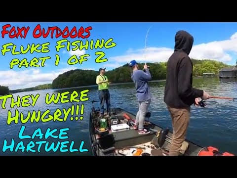 Catching Lots of Bass on Lake Hartwell Fishing a Fluke Part 1 of 2