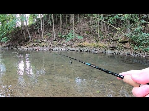 TROUT Fishing TIPS - Trout Fishing with Spinners in Creeks &amp; Streams