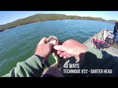 48 Ways #22 - Darter Head