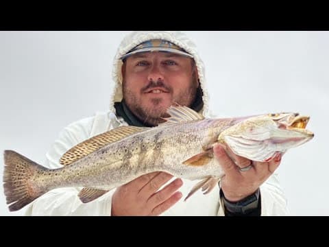 Targeting Speckled Trout in areas with no current ~ Speckled Trout Fishing