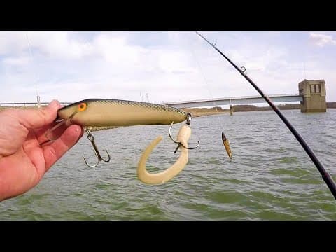 MUSKY FISHING EARLY SPRING IN OHIO!! - Targeting Pre-Spawn Muskies