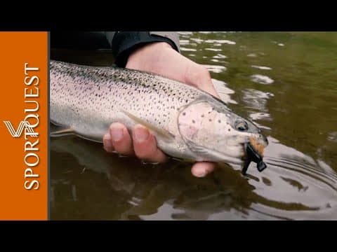 Targeting Stunning Rainbow Trout Using Mouse Flies at Bristol Bay Lodge