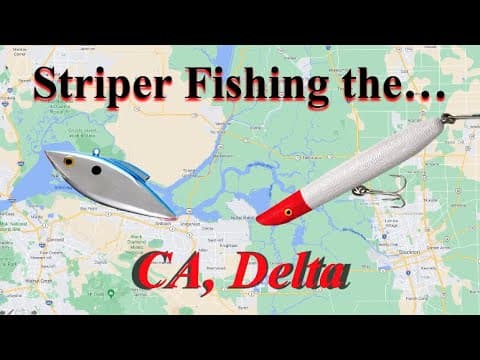 ALL We know about STRIPERS on the CA, DELTA (Techniques, movement, LOCATIONS)