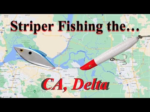 ALL We know about STRIPERS on the CA, DELTA (Techniques, movement, LOCATIONS)