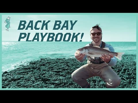 How to Catch Spring Back Bay Striper: A Beginners Guide