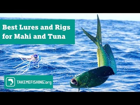 Best Lures and Rigs for Mahi and Tuna