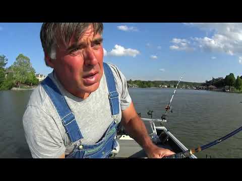 Catfish That Identify As Turkeys