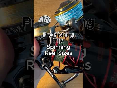 How to choose spinning reel size #fishing #fishingtips #bassfishing #fishingreel