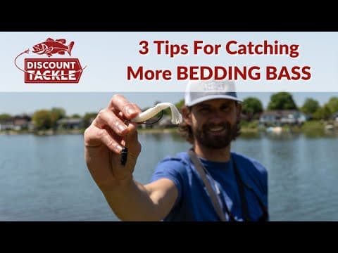 3 Tips For Catching More BEDDING BASS