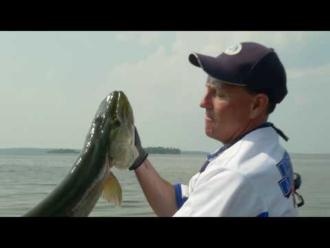 Tamarack Muskies