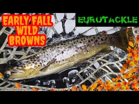 Early Fall Wild Trout Fishing Adventure (Gunpowder Falls)