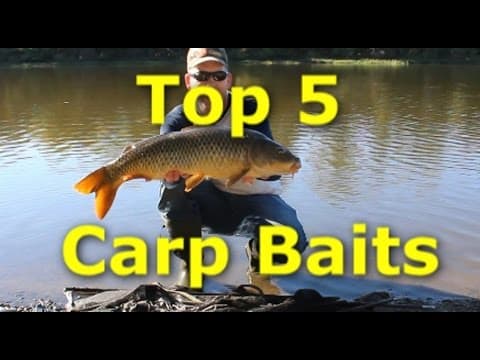 5 Best Carp Baits - How to catch carp with 5 different baits.