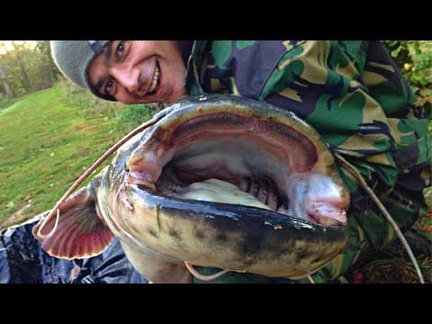 How To Catch Catfish With Boilies