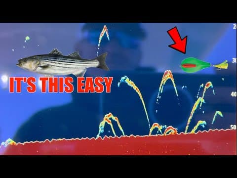 HOW TO TROLL STRIPED BASS FOR DUMMIES