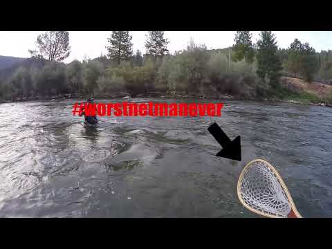 Chris loses nice Steelhead on Trinity. #worstnetmanever