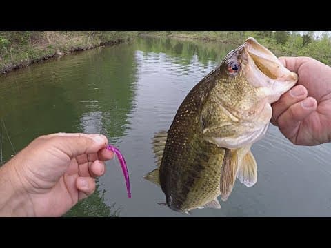 Simple Technique to Catch Spawning Bass (Sight Fishing During the Spring Spawn)