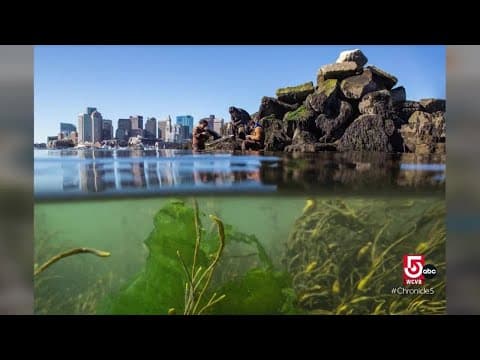 Boston’s historic Fish Pier has changed with the times, but stays true to its roots