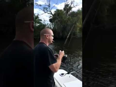 Catching Tarpon out of the Saint Lucie River