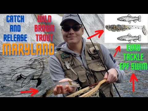 Wild Brown Trout EPF Swim Fishing Gunpowder Falls Maryland 2/12/22
