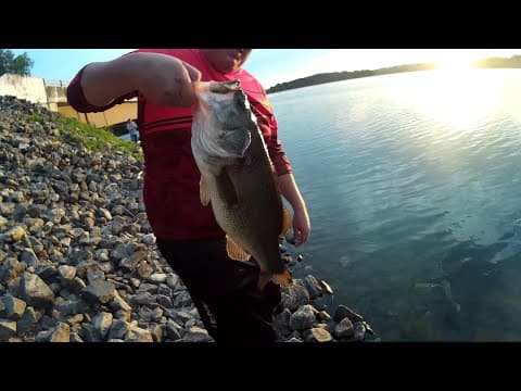 Fishing Senko&#39;s for a Monster Bass in Loch Raven MD