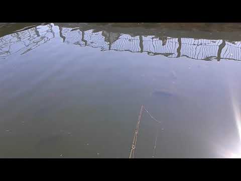 May , 2020 Hot fishing spots around hamilton
