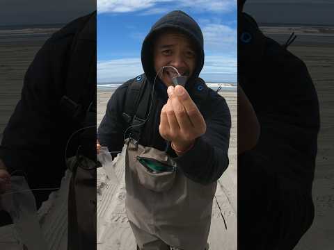 Best setup for surf fishing!