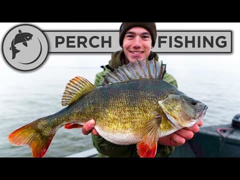 Catch more PERCH with these tips and tricks!