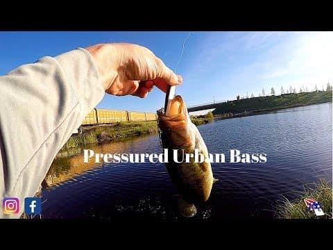 Bank Fishing For Bass In a Pressured Public Pond