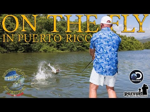 Sportsman&#39;s Adventures 2025 – On the Fly in Puerto Rico
