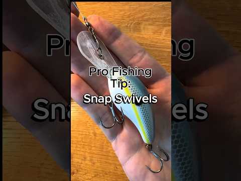 Snap Swivel Fishing Hack #fishing #bassfishing #howto #largemouthbass #largemouthbassfishing