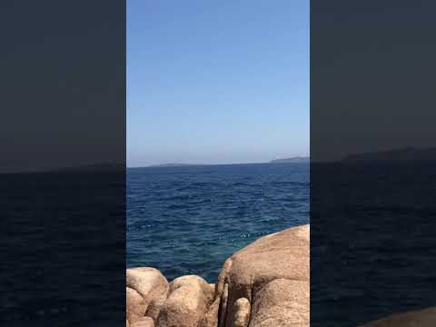 Shore Jigging in Sardinia… #amazing 🤩 #sardinia #shorejigging #fishing #shorts