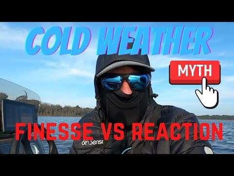 FINESSE VS REACTION Baits in Cold Weather Bass Fishing